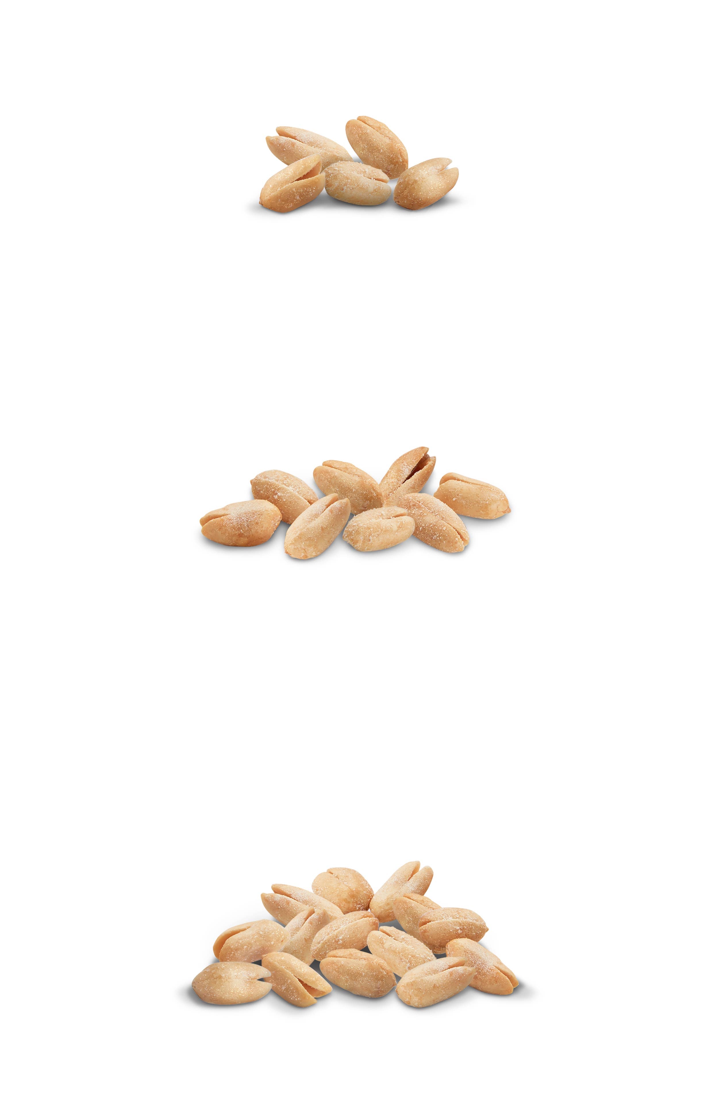 Virginia Diner 9 oz Salted Virginia Peanuts