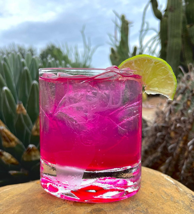 Brushfire Farms Prickly Pear Simple Syrup