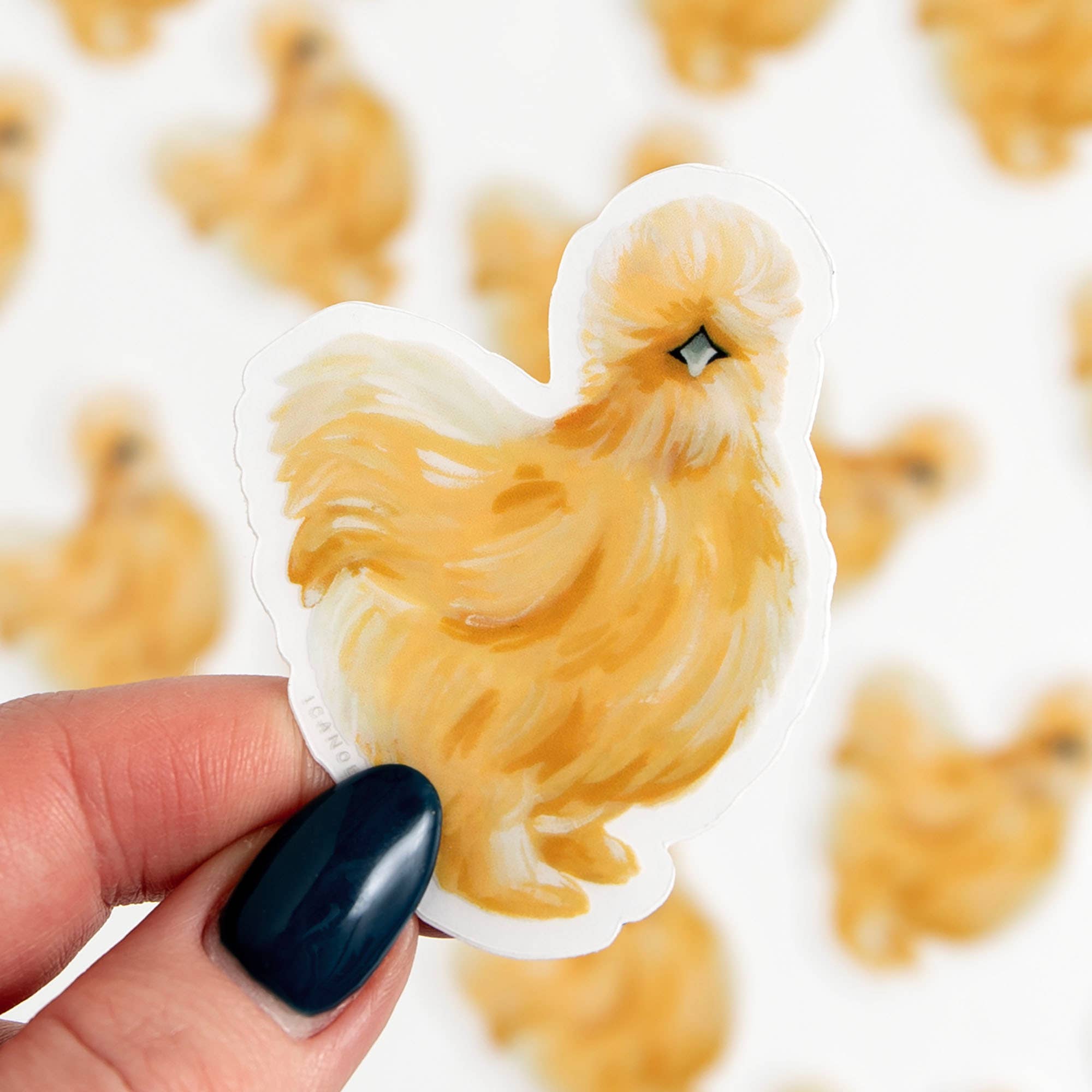 Sticker - Silky Chicken Clear Decal