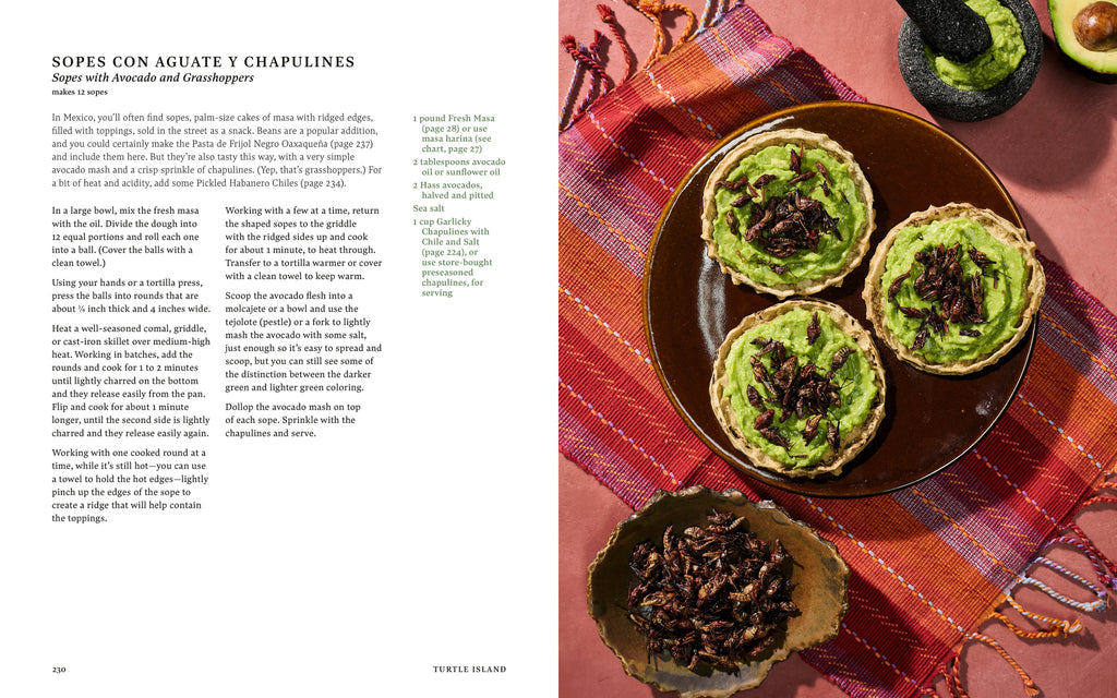 Sean Sherman's Turtle Island Cookbook
