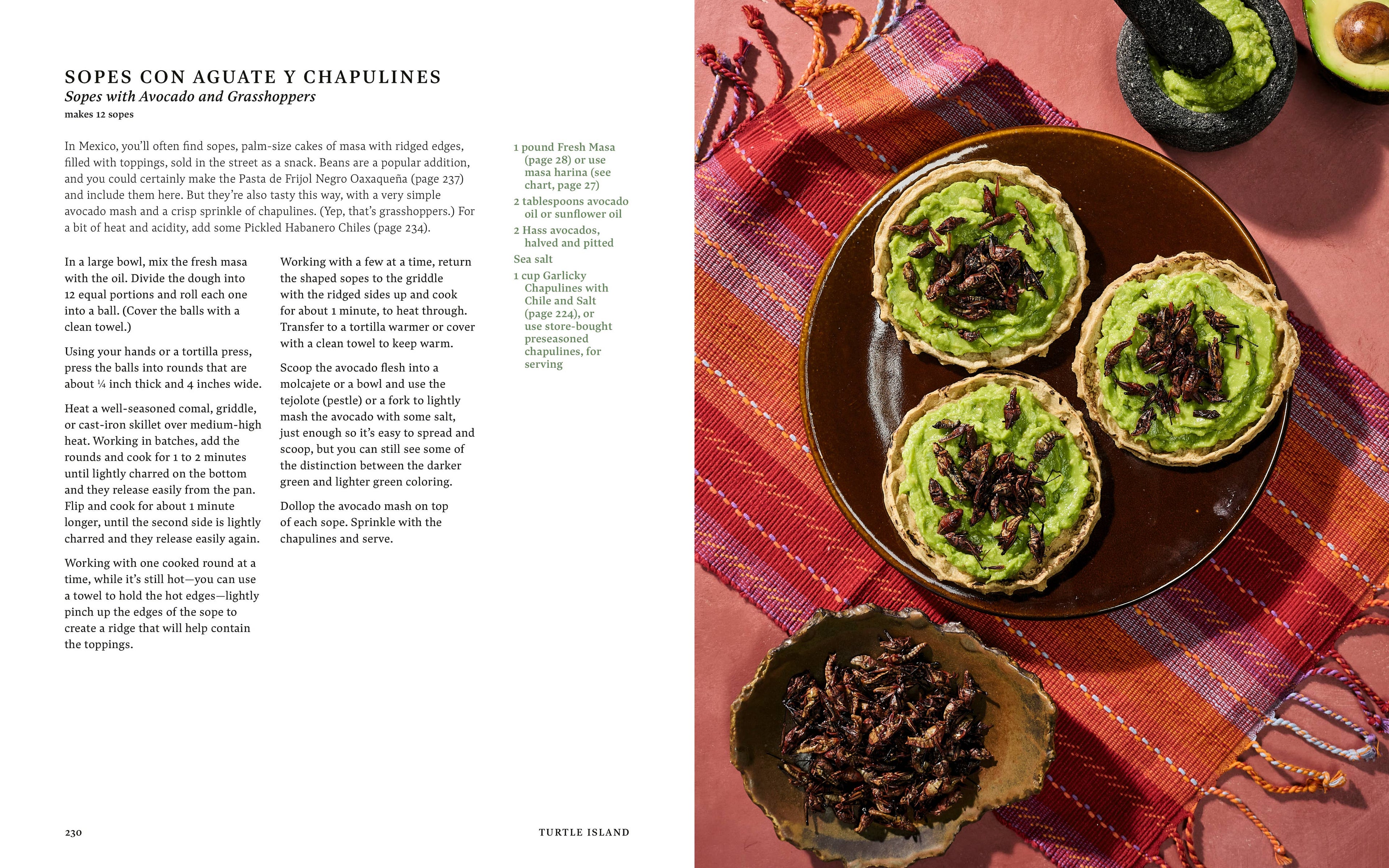 Sean Sherman's Turtle Island Cookbook