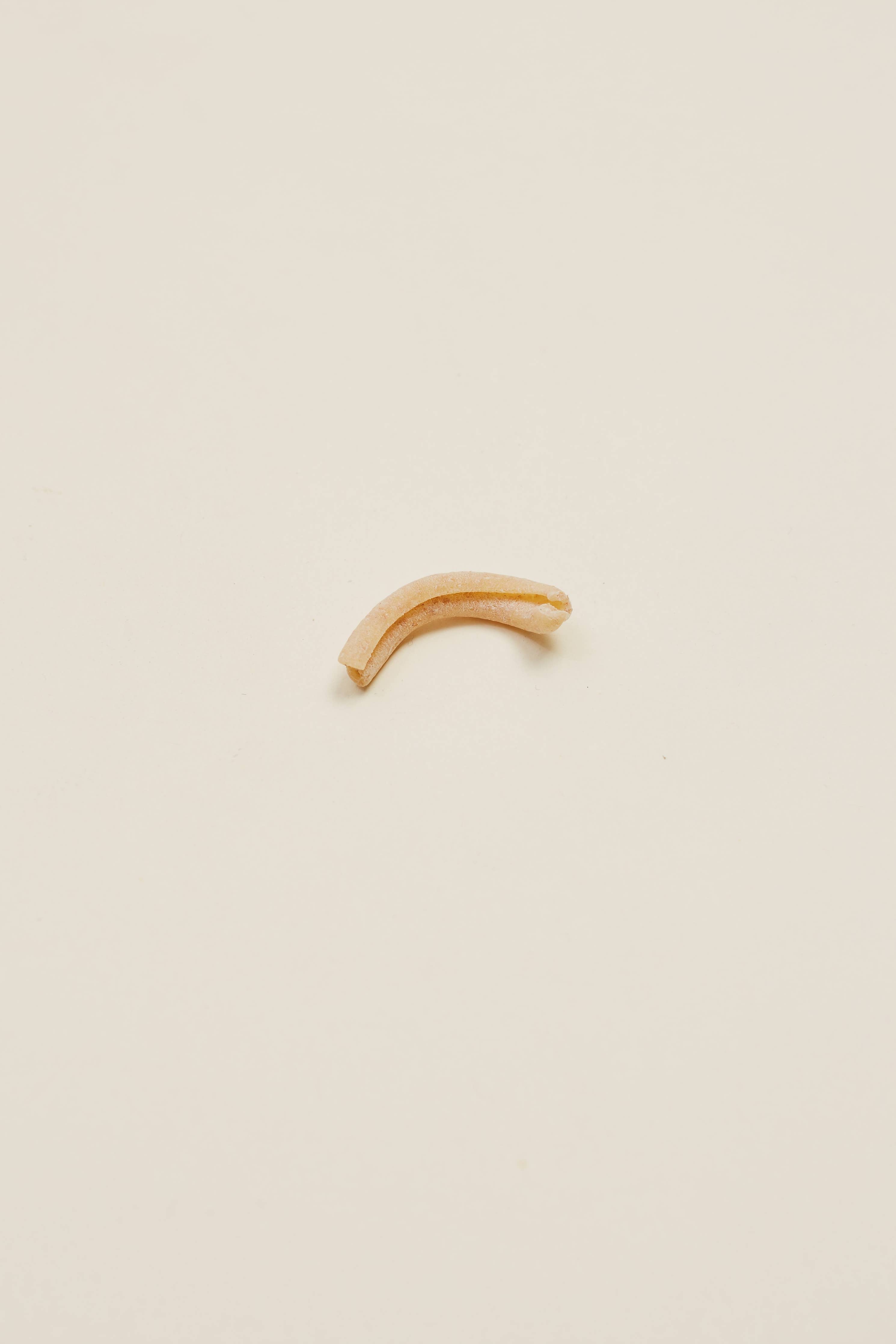 Regenerative Whole-Grain Casarecce - L'Isolina “Farmed for Flavor” Pasta