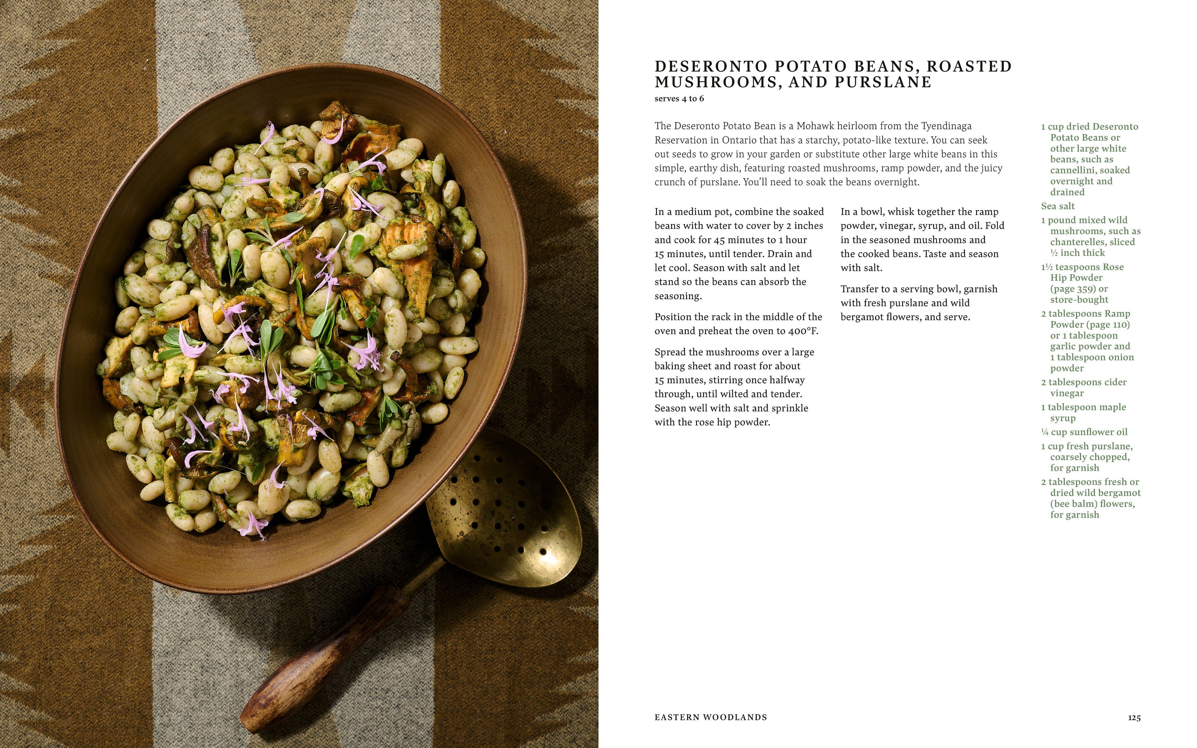 Sean Sherman's Turtle Island Cookbook