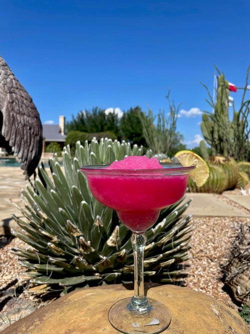 Brushfire Farms Prickly Pear Simple Syrup