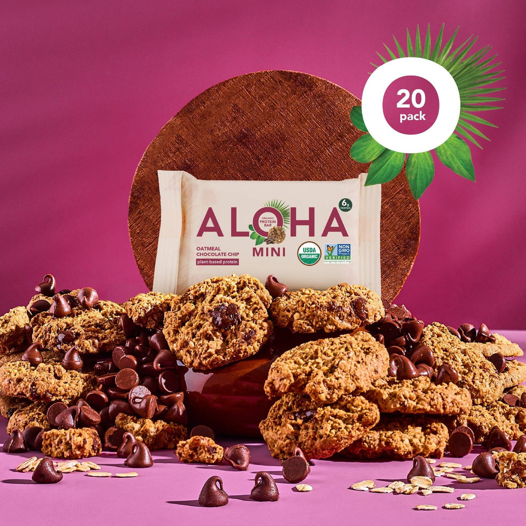 Mini Bars - Oatmeal Chocolate Chip